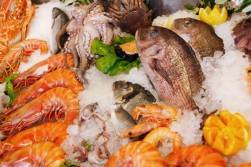 Conozcamos algo más sobre pescados y mariscos | Determinar la frescura |  Pescados y mariscos | CONSUMER EROSKI