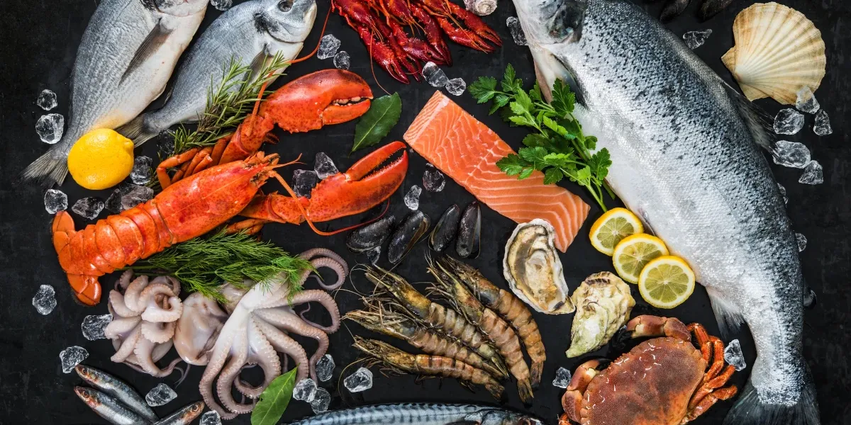 Conozcamos algo más sobre pescados y mariscos :: Clasificación
